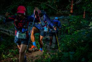 BIB: 9541
                            <button type="button" onclick="openModal(19300034)" class="btn btn-primary btn-sm float-right btn-popup" data-toggle="modal" data-target=".modal-high-quality">
                        <i class="fas fa-shopping-cart"></i> Add to Cart
                    </button>
                                            <button type="button" onclick="isThisMe(19300034, true)" class="btn btn-success btn-sm float-right btn-popup btn-isme hidden" data-toggle="tooltip" data-placement="bottom" title="นี่คือรูปของคุณใช่ไหม คลิกที่นี่เพื่อเอาเข้าอัลบั้ม">
                        <i class="fas fa-plus"></i> Add to album
                    </button>
                    <button type="button" onclick="isThisMe(19300034, false)" class="btn btn-warning btn-sm float-right btn-popup btn-isnotme hidden">
                        <i class="fas fa-ban"></i> Remove from album
                    </button>